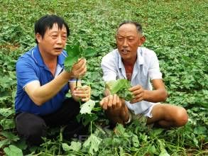 善溪窯村 善溪窯村