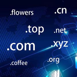 dn[域名(DOMAIN NAME)]