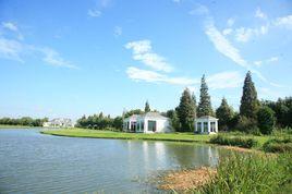 上海東方菲尼克斯莊園 上海東方菲尼克斯莊園