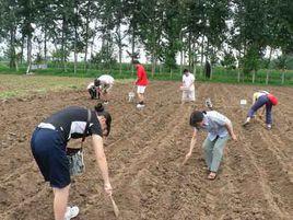 土傳病害 土傳病害