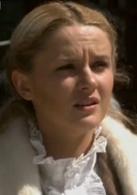 大掌門[2013年郭林、孫鐵軍執導電視劇]