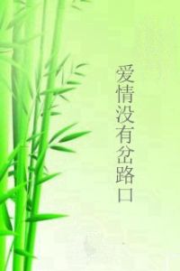 愛情沒有岔路口 愛情沒有岔路口
