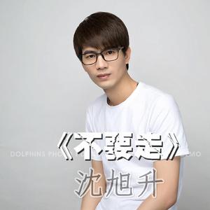 不要走[沈旭升演唱音樂作品]