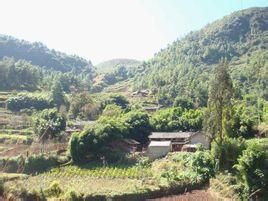 水排自然村 水排自然村