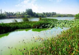 白浪綠洲濕地公園