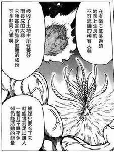 隕石大蒜 隕石大蒜