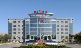 山西振東集團 山西振東集團