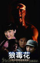 狼毒[于榮光主演電視劇《狼毒花》]