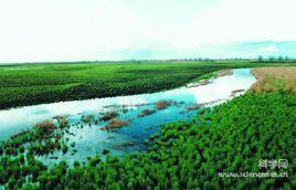 生態水文 生態水文