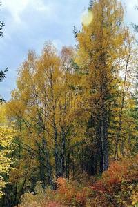 哈納斯自然景觀保護區 哈納斯自然景觀保護區