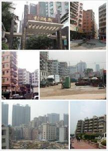 新洲村[廣東省深圳市福田區新洲村]