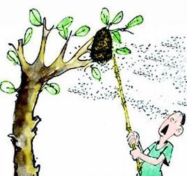 捅馬蜂窩 捅馬蜂窩