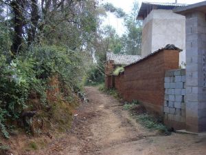 勝利自然村 勝利自然村