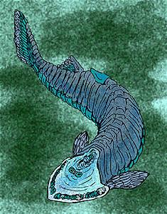 甲青魚類動物