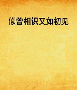 似曾相識又如初見 似曾相識又如初見