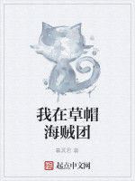 我在草帽海賊團 我在草帽海賊團