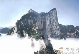 萬物可以為師 萬物可以為師