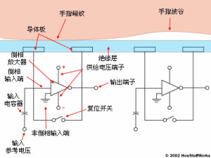 指紋掃瞄器工作原理