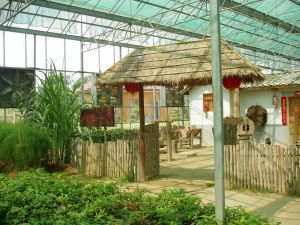 深圳光明農場農科大觀園