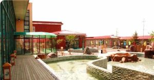 聖德泉溫泉 聖德泉溫泉