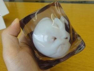 胎兒3D模型 胎兒3D模型