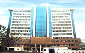 中山大學附屬第三醫院 中山大學附屬第三醫院