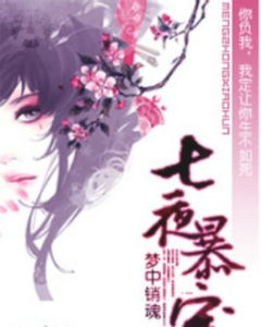 七夜暴寵 七夜暴寵