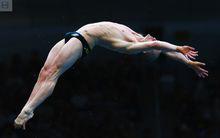 馬修·米查姆跳水時的照片