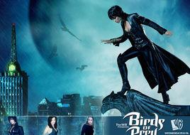 女蝙蝠俠第一季 女蝙蝠俠第一季