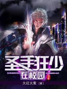 聖手狂少在校園 聖手狂少在校園