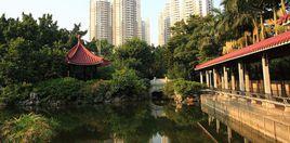 醉觀公園 醉觀公園