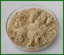 花旗松素 花旗松素