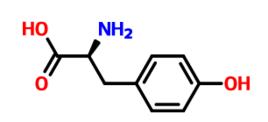 酪氨酸 酪氨酸