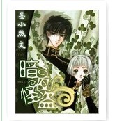 暗夜怪盜小說封面圖片