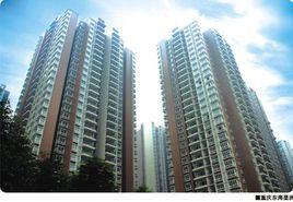 重慶東海星洲 重慶東海星洲