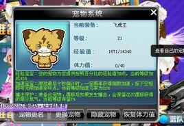 qq飛車寵物 qq飛車寵物