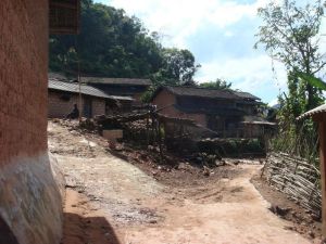 大馱甲自然村 大馱甲自然村