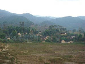 大領崗村 大領崗村