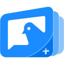 希沃信鴿 希沃信鴿