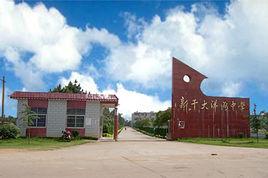 新乾大洋洲中學 新乾大洋洲中學