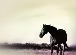 安訊客戶智慧型管理軟體 安訊客戶智慧型管理軟體