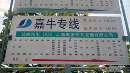 嘉牛專線 嘉牛專線