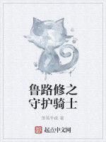 魯路修之守護騎士 魯路修之守護騎士