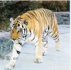 跑馬嶺野生動物世界