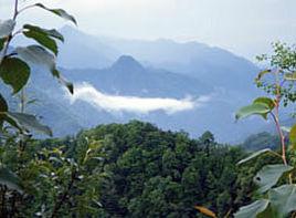 陝西翠峰山森林公園 陝西翠峰山森林公園
