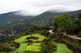 西天尾鎮 西天尾鎮