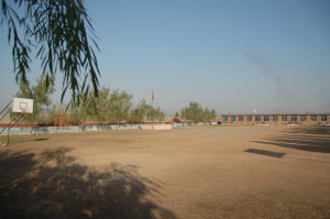 大柳樹國小 大柳樹國小