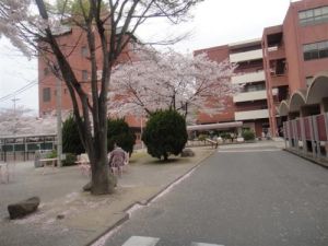 日本十文字學園女子大學 日本十文字學園女子大學