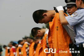 犯罪分子 犯罪分子