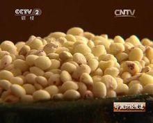 劉達[“達哥拯救老味道”公益活動總發起人]